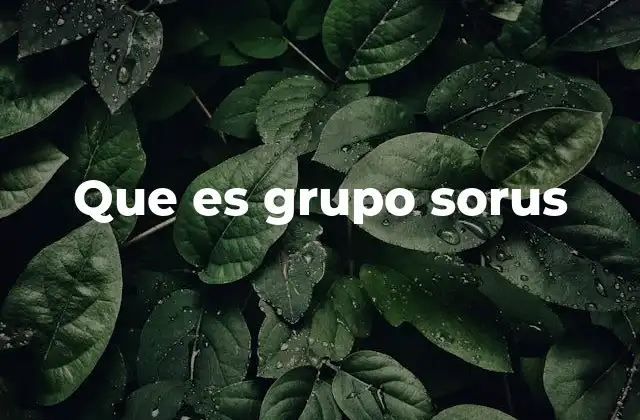 Que es Grupo Sorus