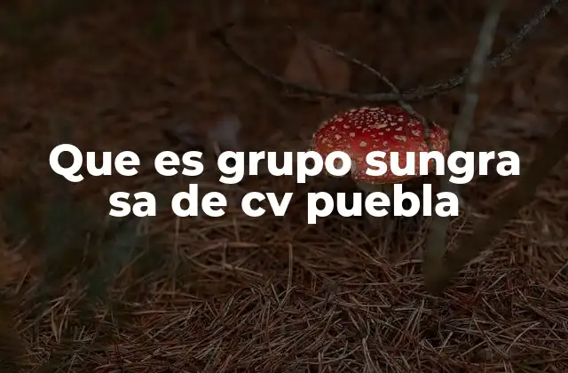Que es Grupo Sungra Sa de Cv Puebla