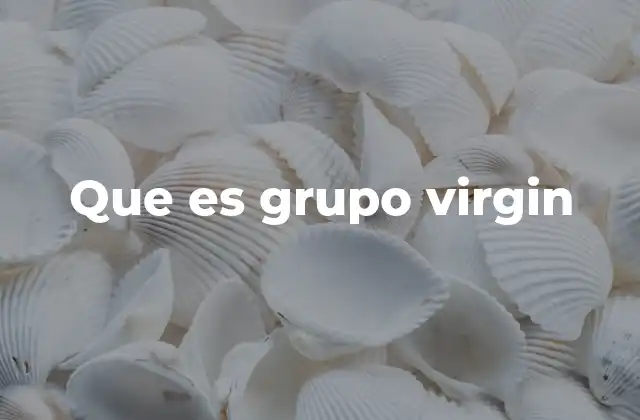 Que es Grupo Virgin