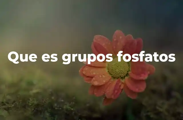 Que es Grupos Fosfatos
