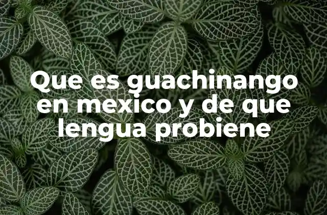 Que es Guachinango en Mexico y de que Lengua Probiene