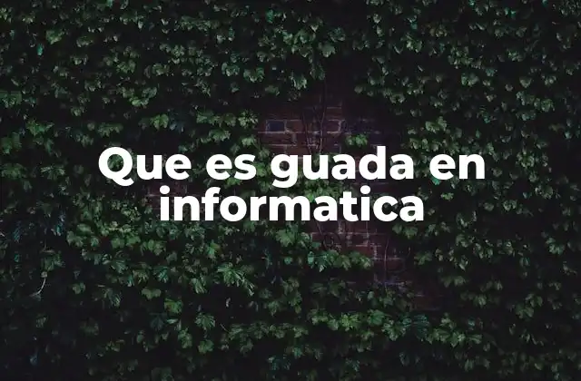 Que es Guada en Informatica
