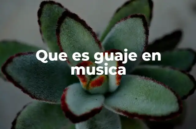 Que es Guaje en Musica