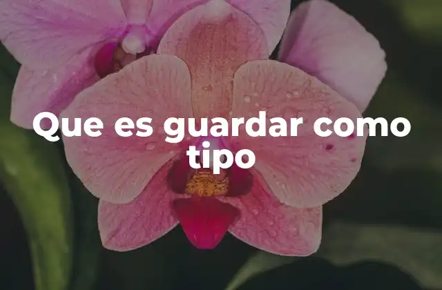 Que es Guardar como Tipo