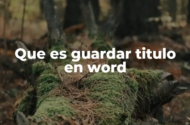 Que es Guardar Titulo en Word