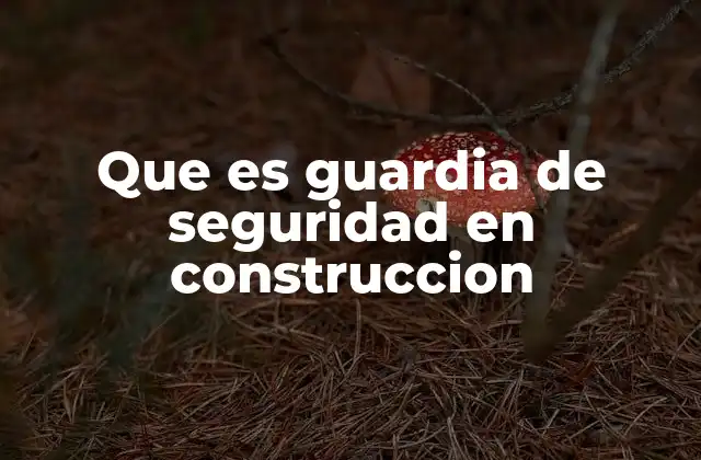 Que es Guardia de Seguridad en Construccion