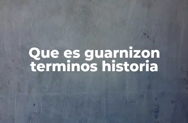 Que es Guarnizon Terminos Historia