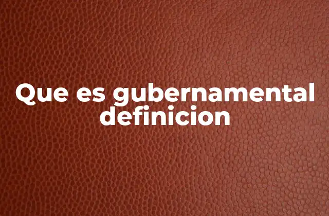 Que es Gubernamental Definicion