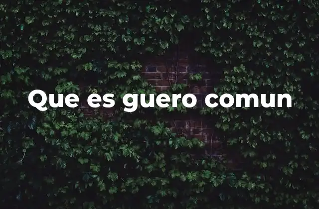 El uso del término guero común en el lenguaje cotidiano