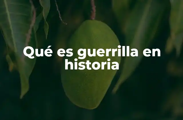 Qué es Guerrilla en Historia 2 La resistencia popular y el surgimiento de la lucha no convencional
