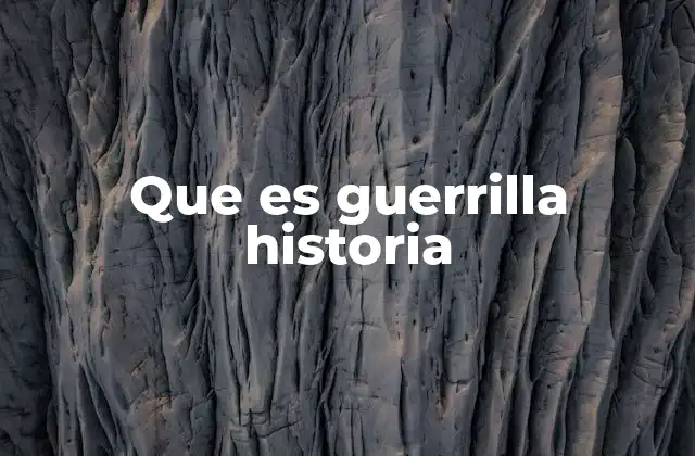 Que es Guerrilla Historia