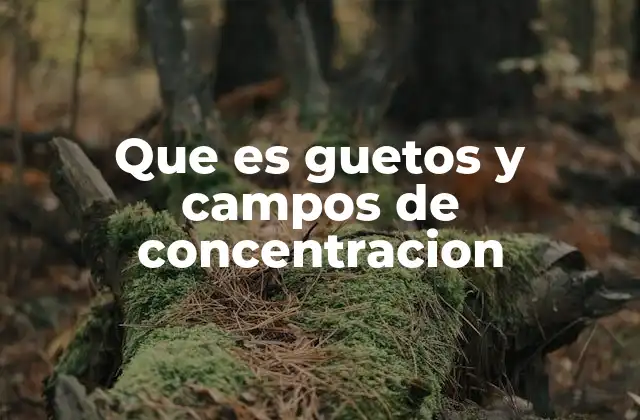 Que es Guetos y Campos de Concentracion 2 La evolución histórica de los guetos y campos de concentración