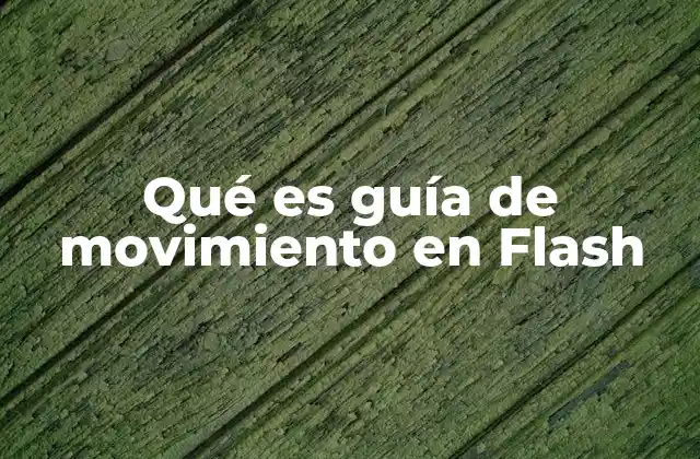 Qué es Guía de Movimiento en Flash