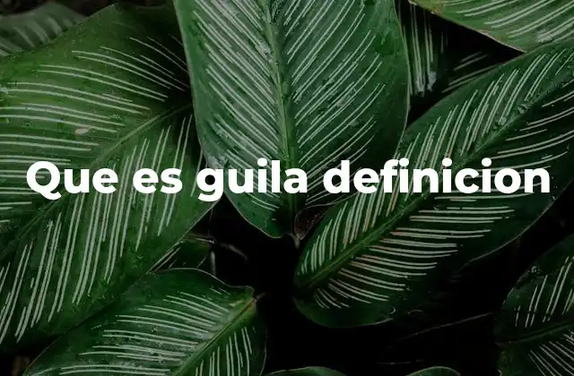 Que es Guila Definicion