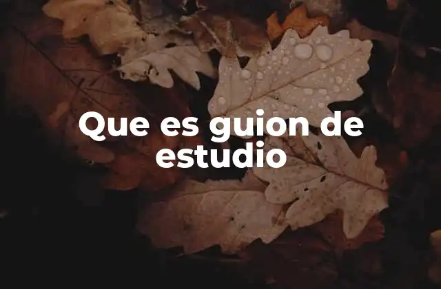 Que es Guion de Estudio