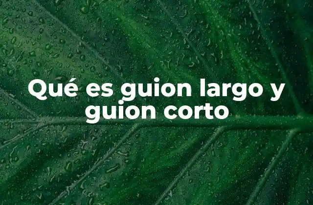 Qué es Guion Largo y Guion Corto