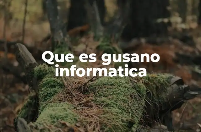 Que es Gusano Informatica