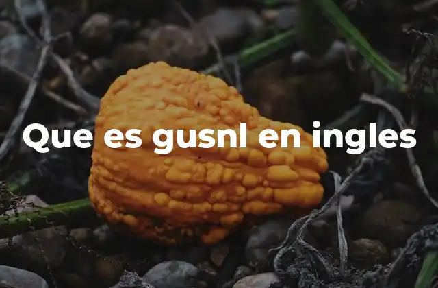 Que es Gusnl en Ingles