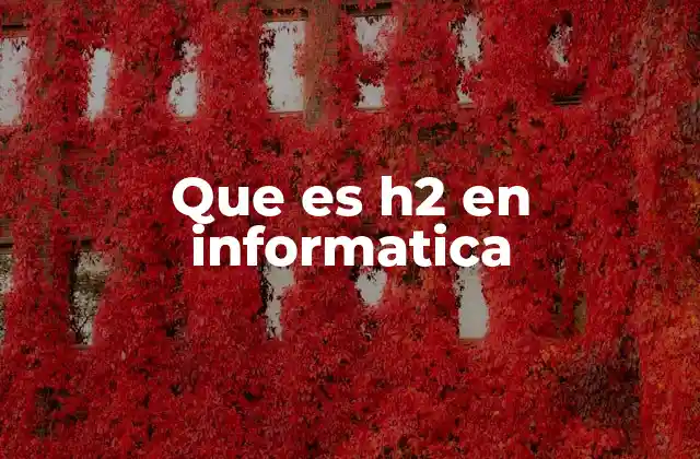 Que es H2 en Informatica