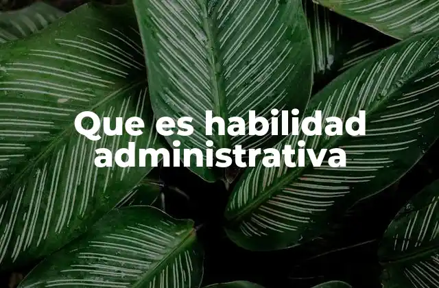 Que es Habilidad Administrativa