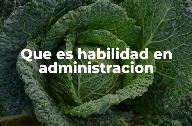 Que es Habilidad en Administracion