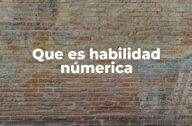 Que es Habilidad Númerica