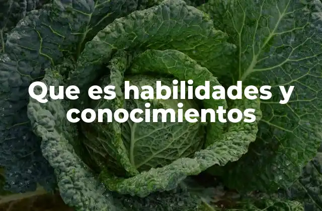 Que es Habilidades y Conocimientos