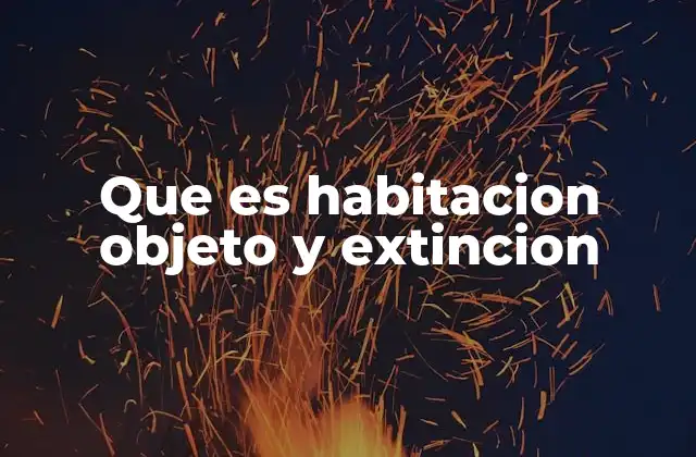Que es Habitacion Objeto y Extincion