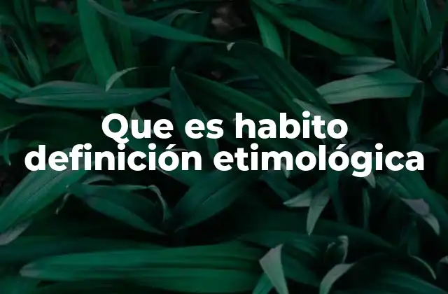 Que es Habito Definición Etimológica