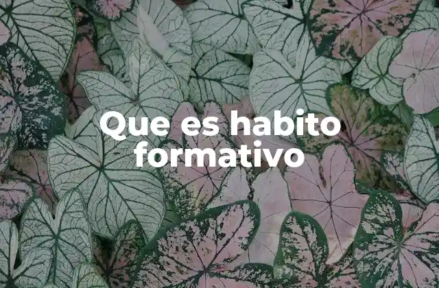 Que es Habito Formativo