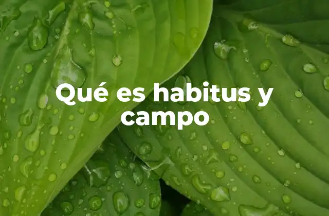 Qué es Habitus y Campo