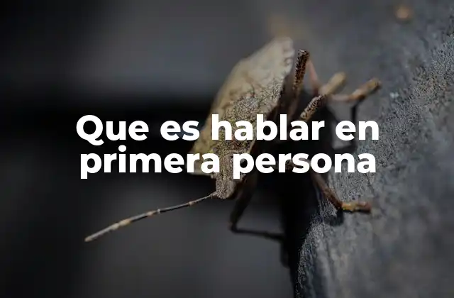 Que es Hablar en Primera Persona