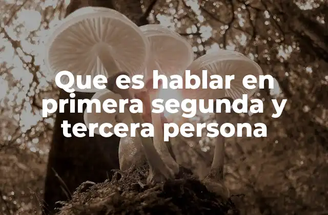 Que es Hablar en Primera Segunda y Tercera Persona