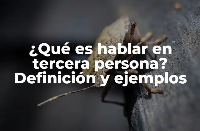 ¿qué es Hablar en Tercera Persona? Definición y Ejemplos