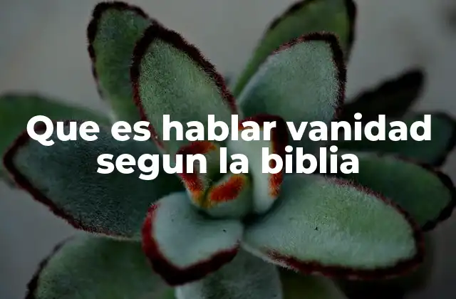 Que es Hablar Vanidad Segun la Biblia 2 La importancia de hablar con sabiduría en la enseñanza bíblica