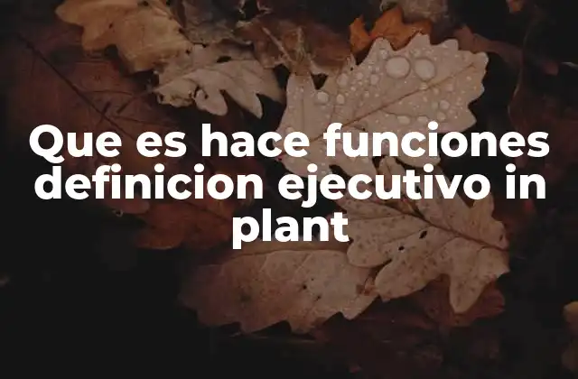 El rol del ejecutivo industrial en la gestión operativa