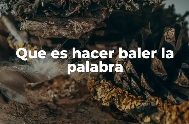 Que es Hacer Baler la Palabra