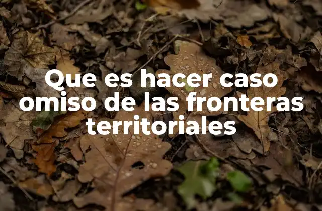 Que es Hacer Caso Omiso de las Fronteras Territoriales