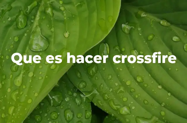 La importancia de la sinergia en crossfire