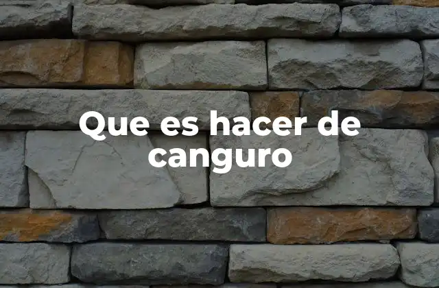 Que es Hacer de Canguro