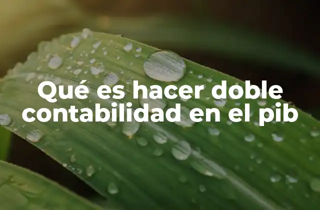 Qué es Hacer Doble Contabilidad en el Pib