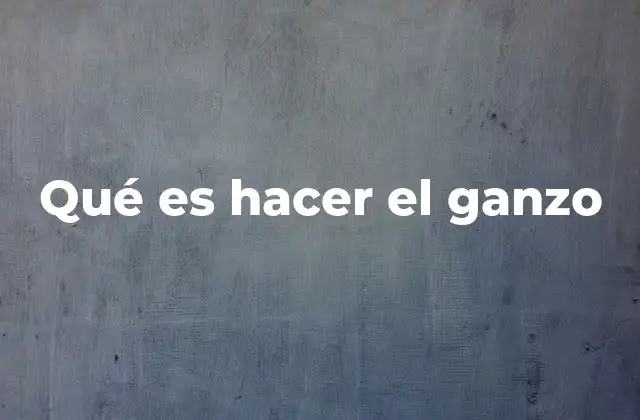 Qué es Hacer el Ganzo 2 Las situaciones en las que se puede hacer el ganzo