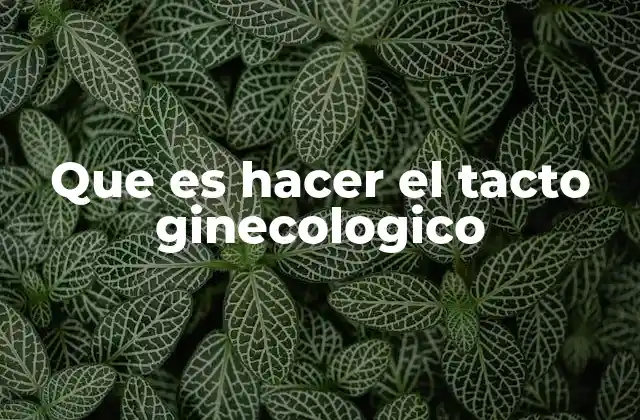 Que es Hacer el Tacto Ginecologico