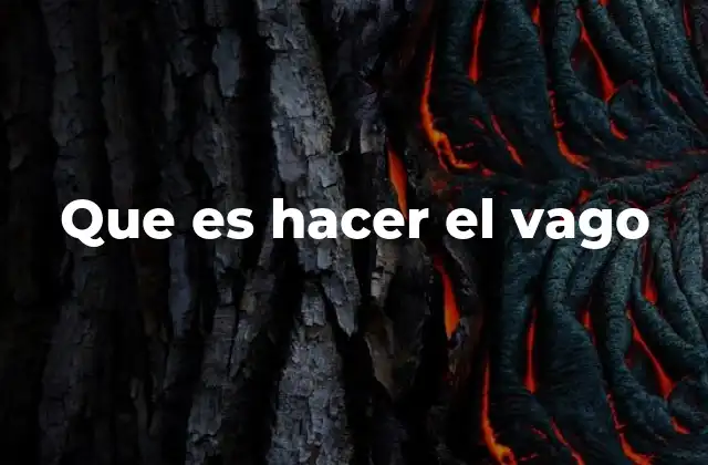 Que es Hacer el Vago