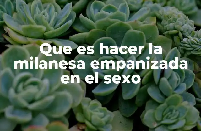 Que es Hacer la Milanesa Empanizada en el Sexo