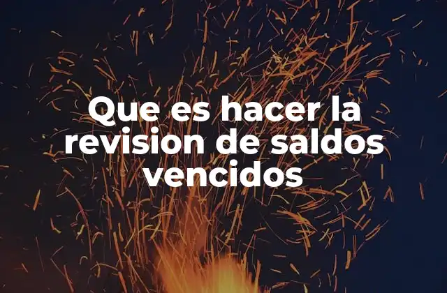 Que es Hacer la Revision de Saldos Vencidos