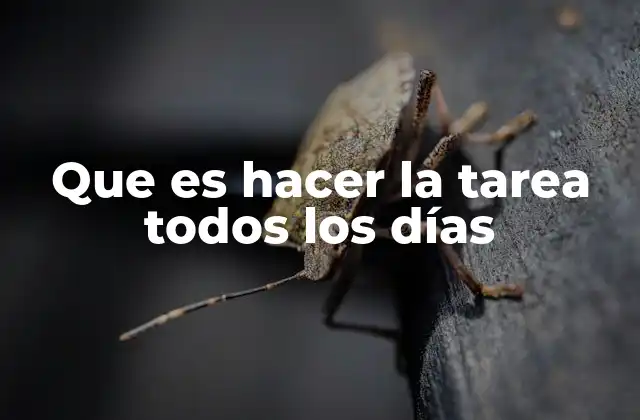 Que es Hacer la Tarea Todos los Días