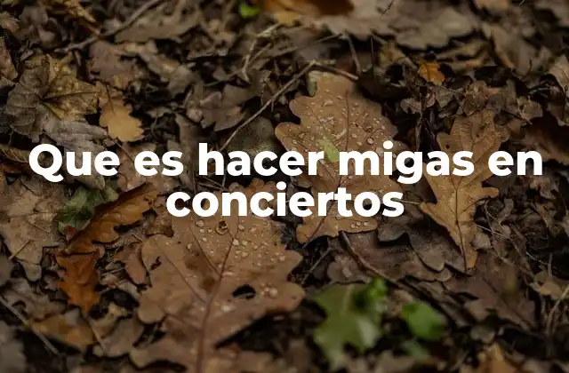 Que es Hacer Migas en Conciertos