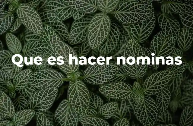 Que es Hacer Nominas