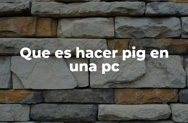 Que es Hacer Pig en una Pc